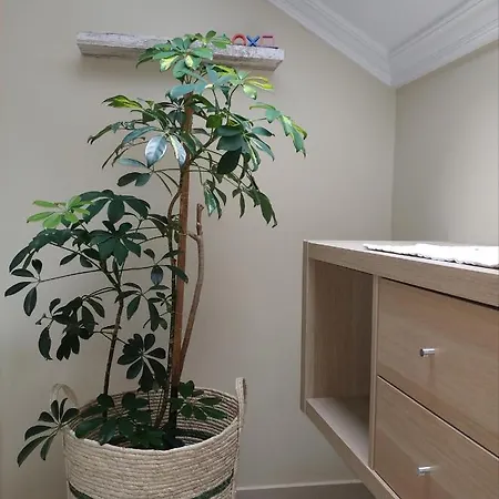 Anamari's Apartment *